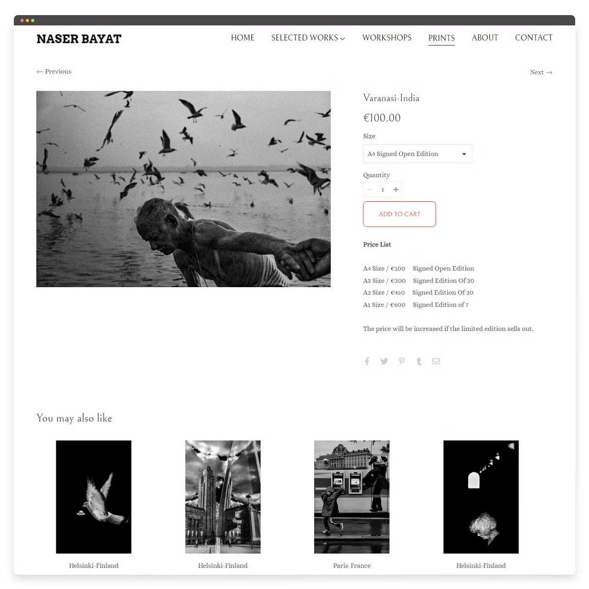 Image of Naser Bayat's photography portfolio website