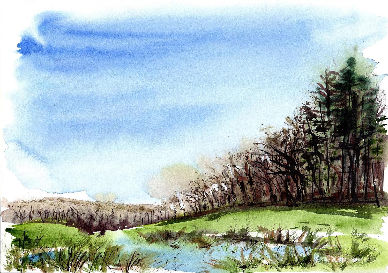 Mare dans les champs aux Hogues en lisi&egrave;re de for&ecirc;t