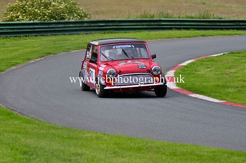 Mini Anthony Patrick