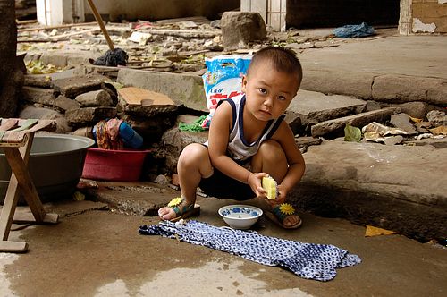 Harnaschpolder vanaf Vermeertoren