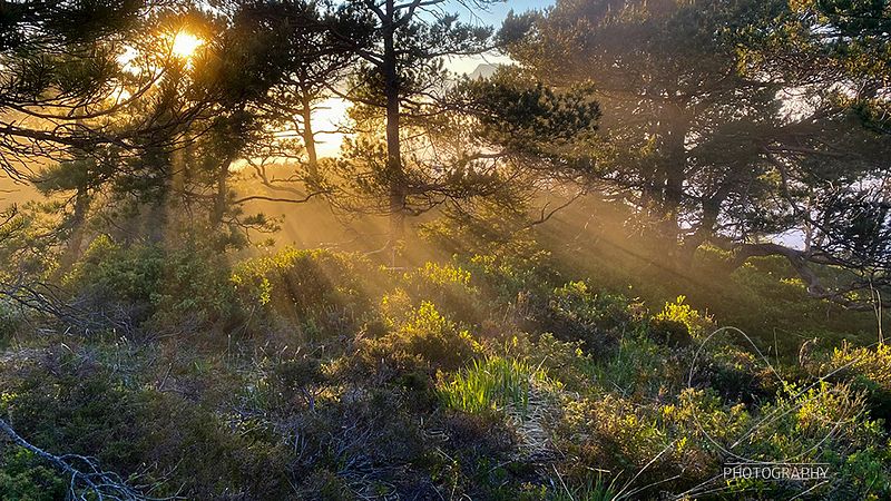 Fredag 18. juni er studioet stengt