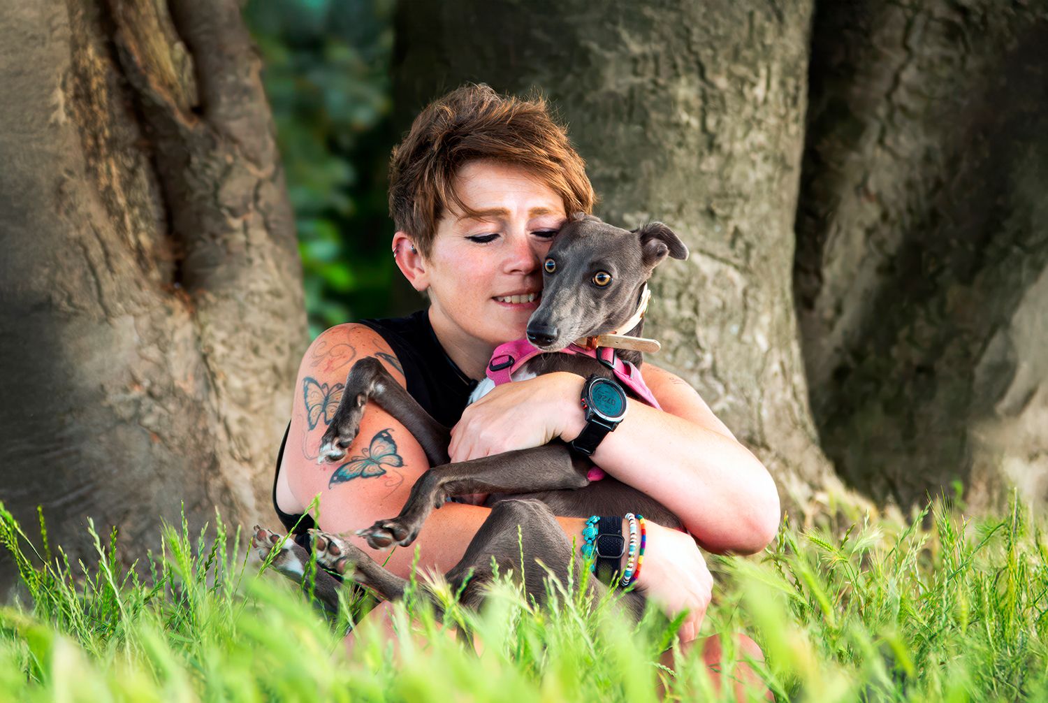 Dorset Dog Portraits