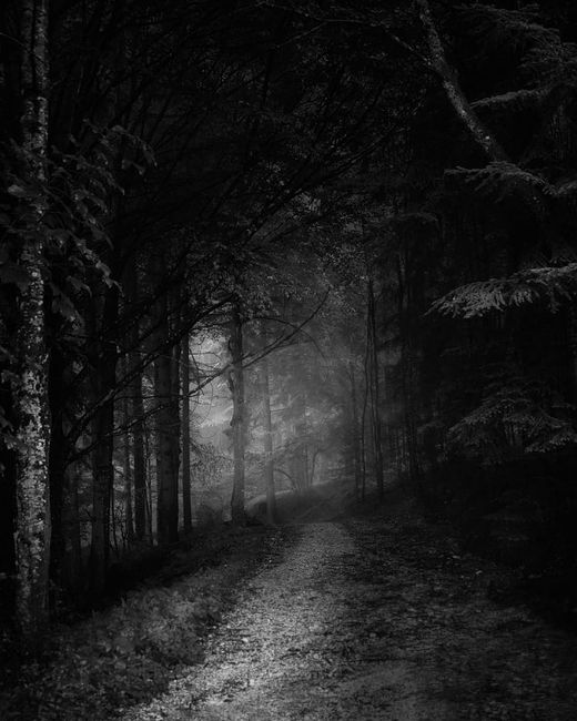 Czarno-białe monochromatyczne kolory