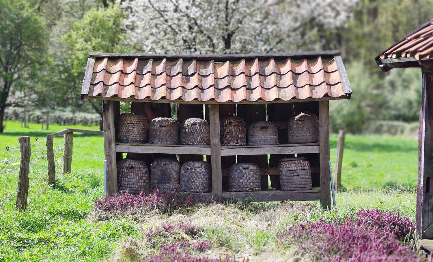 Ibbenbürener Kickers
