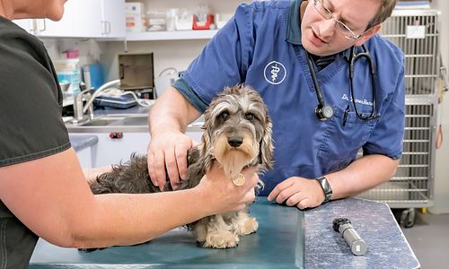 Care and Clinic Photographs