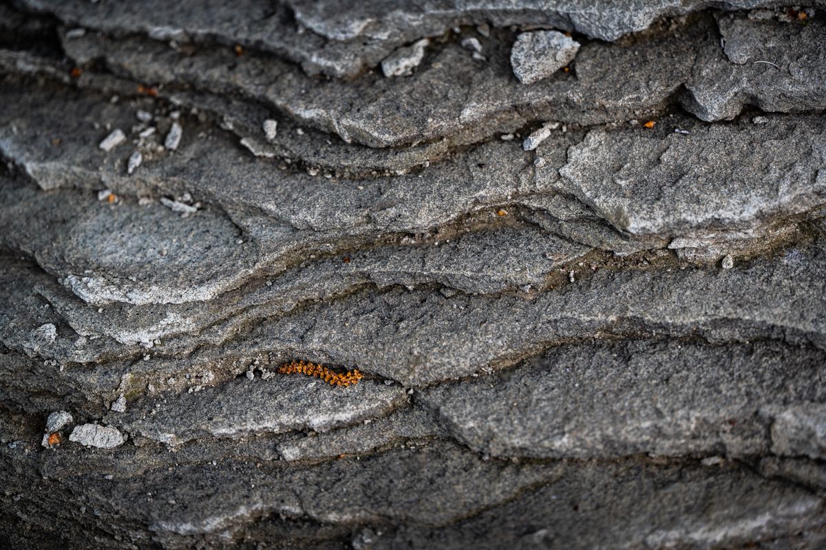 Rock Texture