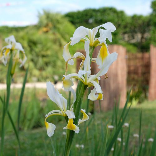 D&eacute;marche Artistique