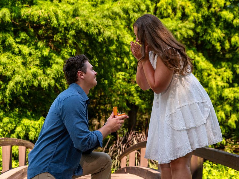 Mitch & Raven Proposal