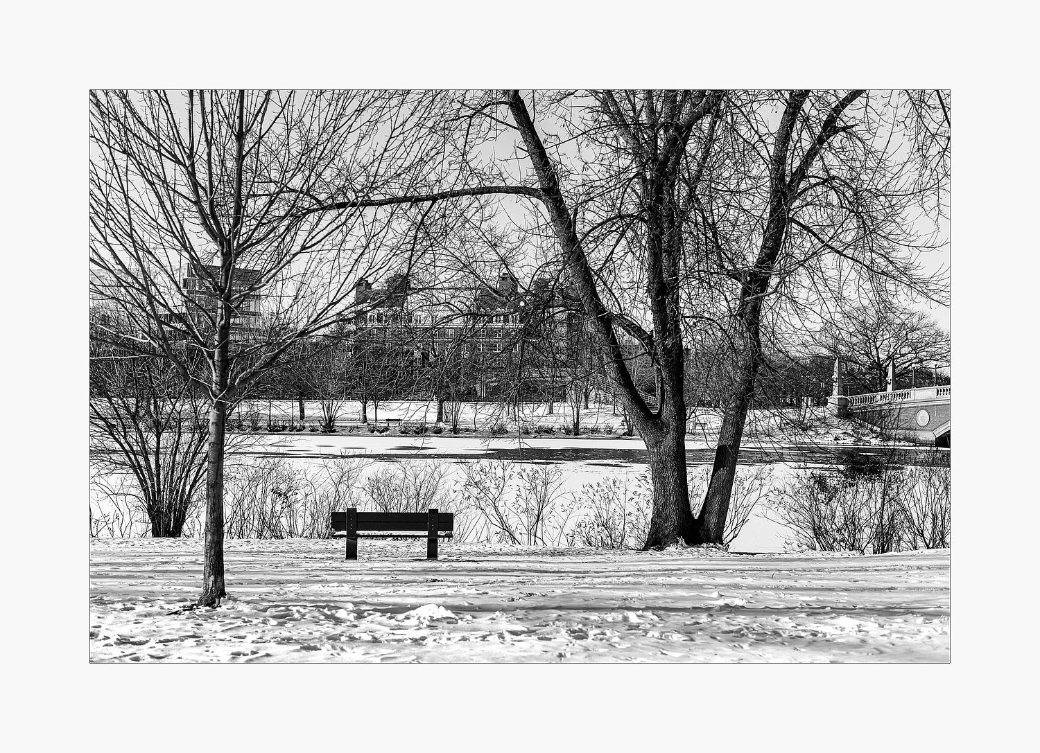 Andr&eacute; J Fanthome