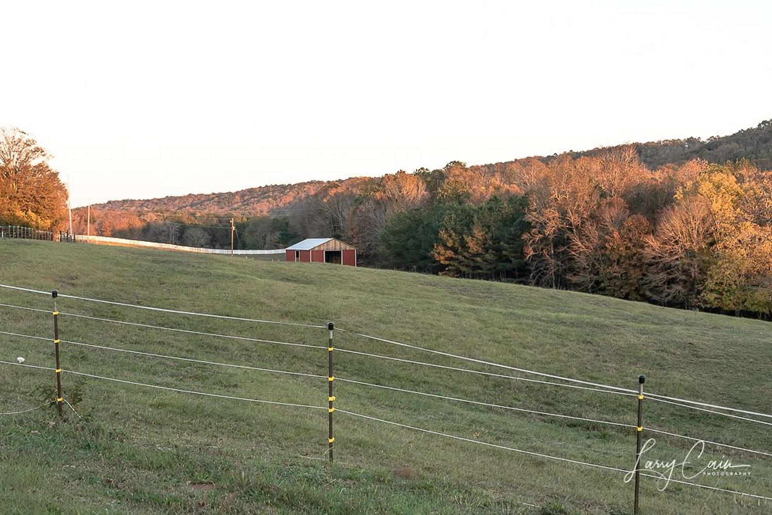 Toledo Landscape, Wildlife. Architecture and Pet Photography