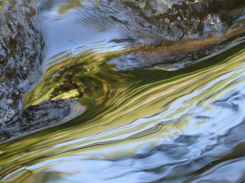 Abstracte natuurfotografie (4 juli 2026)