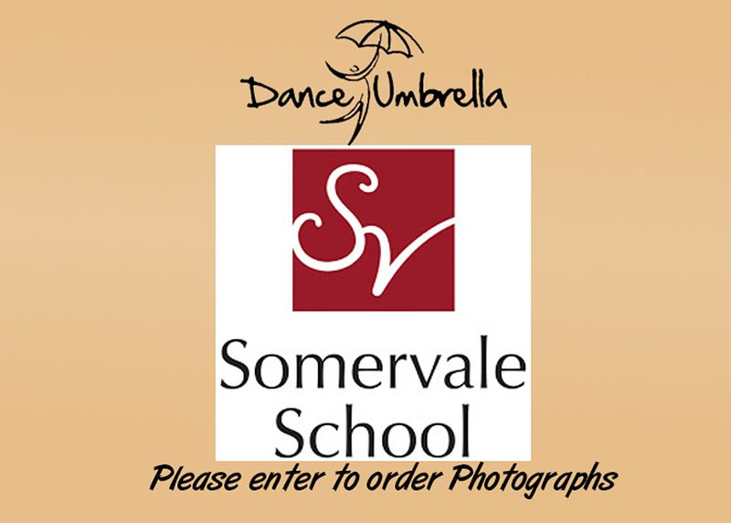 Somervale School