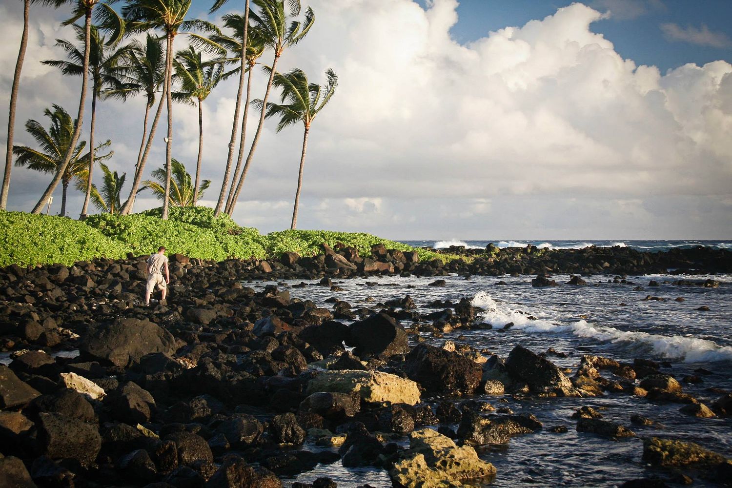 Joy Collective Photography