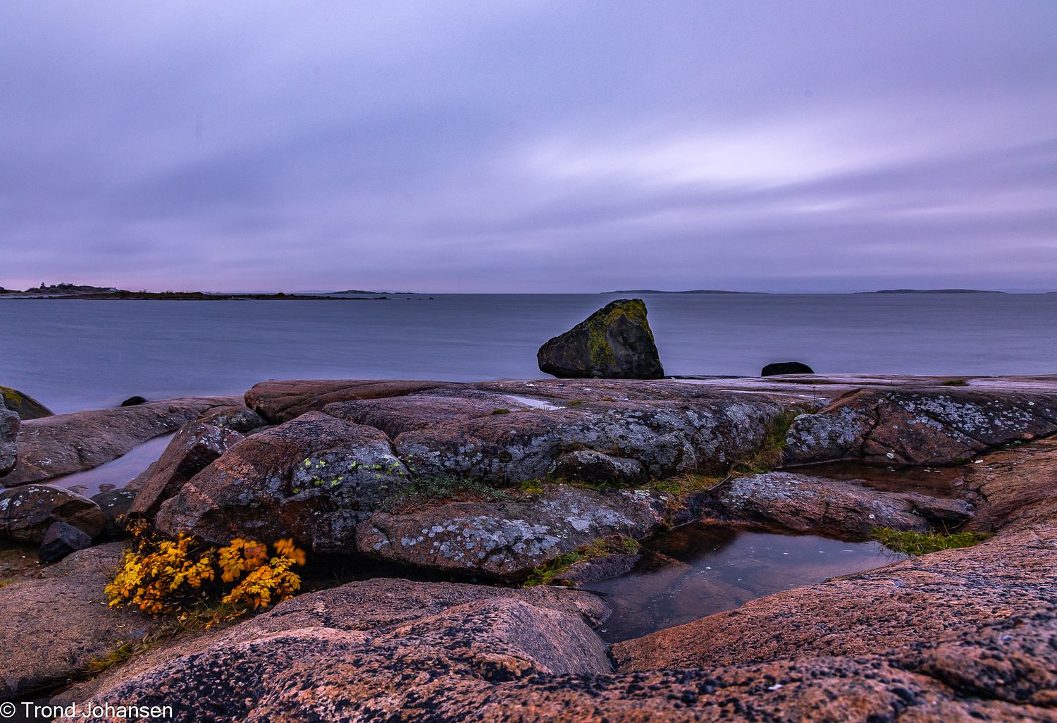 Trond Johansen Foto Natur Sarpsborg - Fotograf / Film