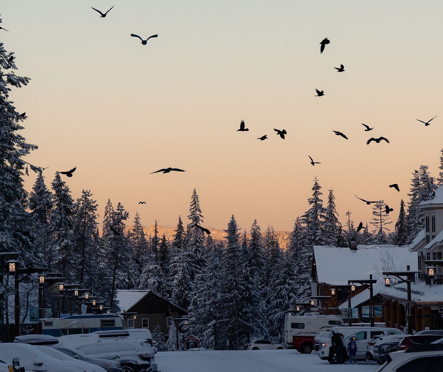 Noah Conzetti Photography