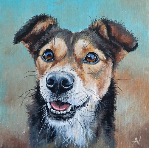 Jack Russell cross breed dog portrait with lively and intelligent eyes
