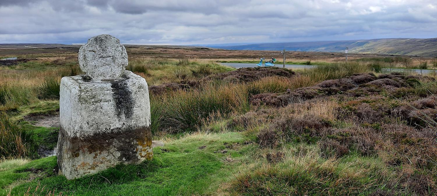 BlackdogYorkPhotography