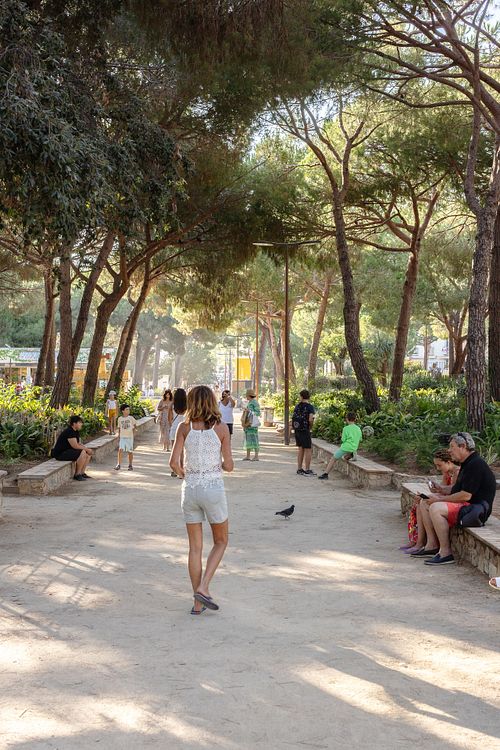 Människor promenerar och sitter i grön parkallé i varmt eftermiddagsljus