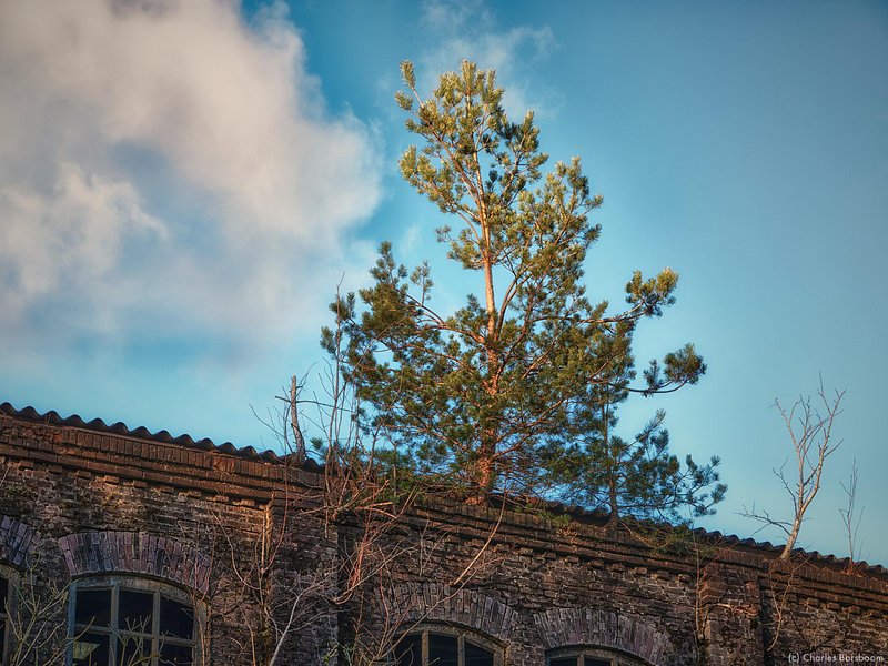 Urbexfotografie Groningen (25 april 2026)