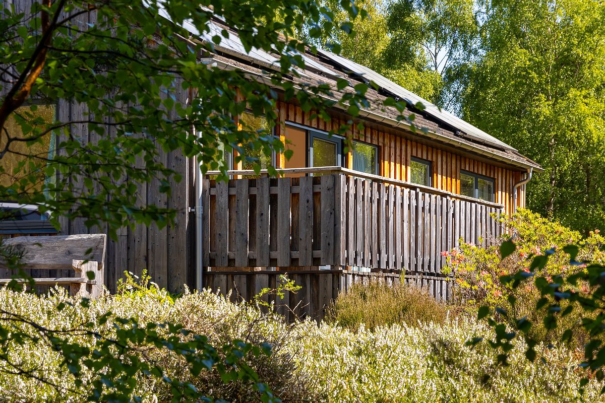 Exterior of a Scottish wooden cabin with balcony surrounded by trees and sunlight.
