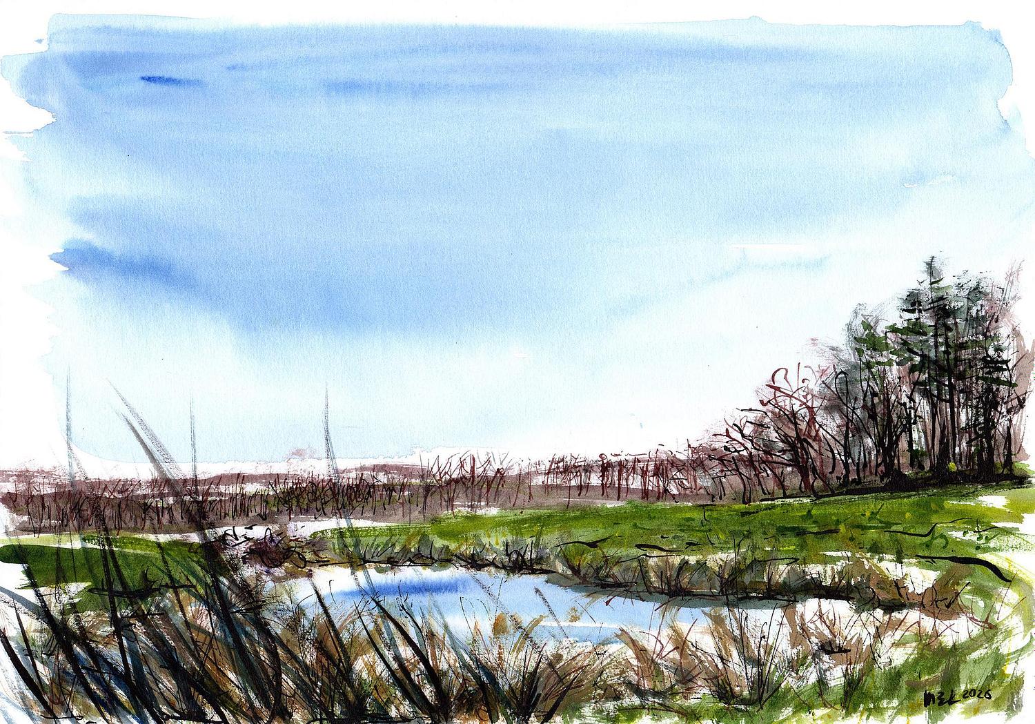 Mare dans les champs aux Hogues en lisi&egrave;re de for&ecirc;t