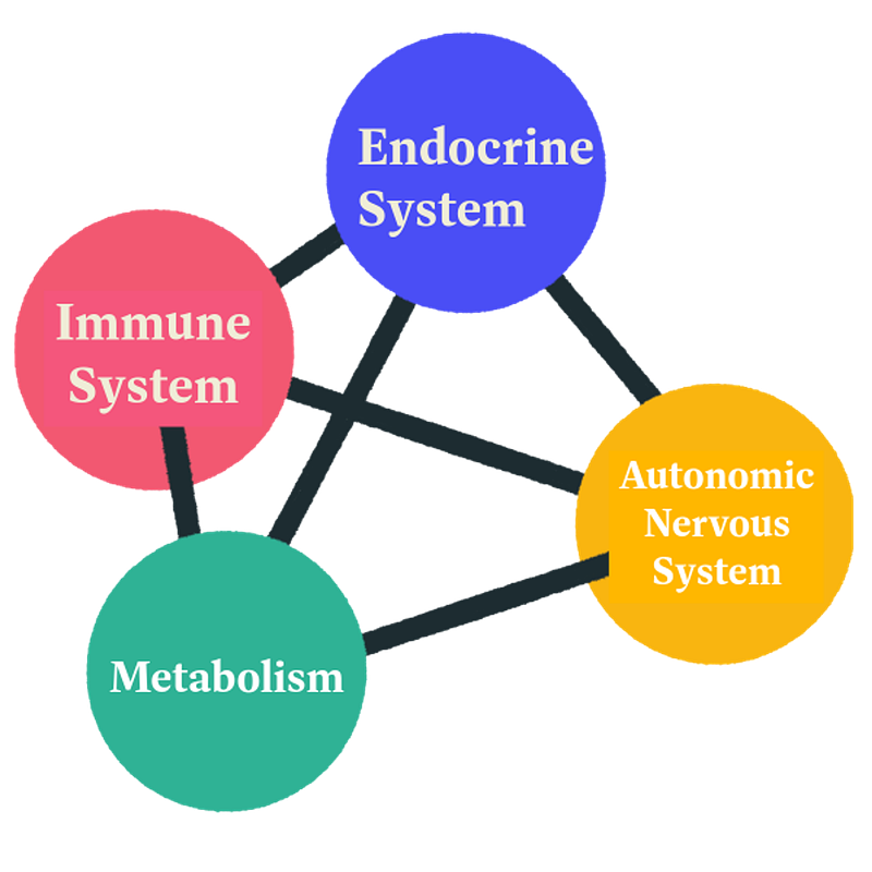 Autonomic Dysregulation - The Science Behind Persistent Fatigue