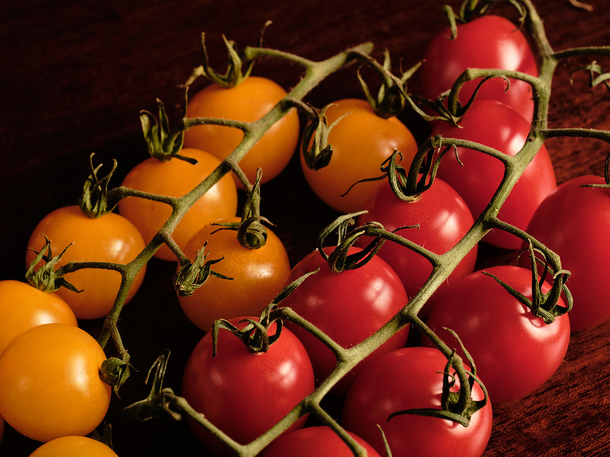 Macro image of on the vine yellow and red cocktail tomatoes.