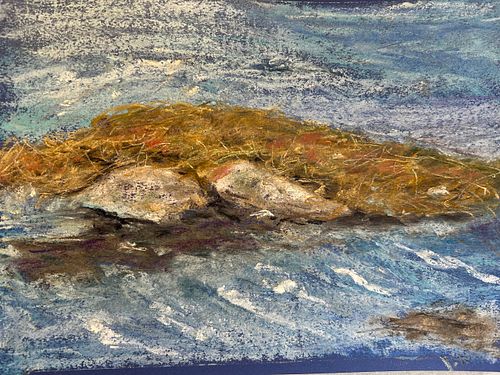 Seaweed Study