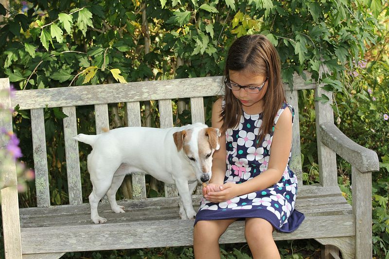 What to do when a photo session doesn't go as planned?