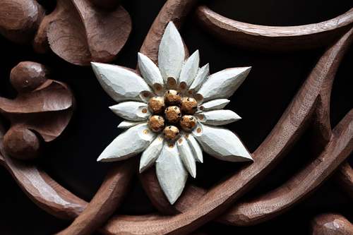 edelweiss flower carved and painted