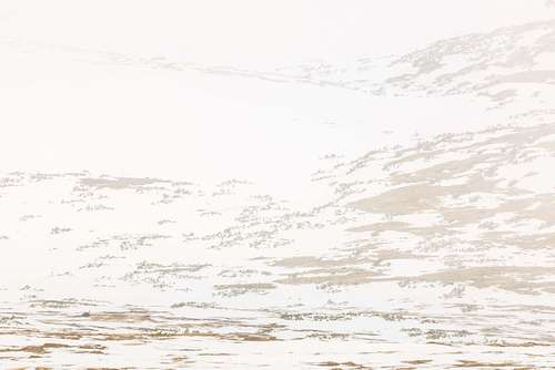 Alpine landscape with chamois