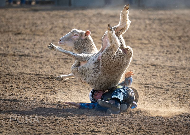 Payettee County Rodeo 2025
