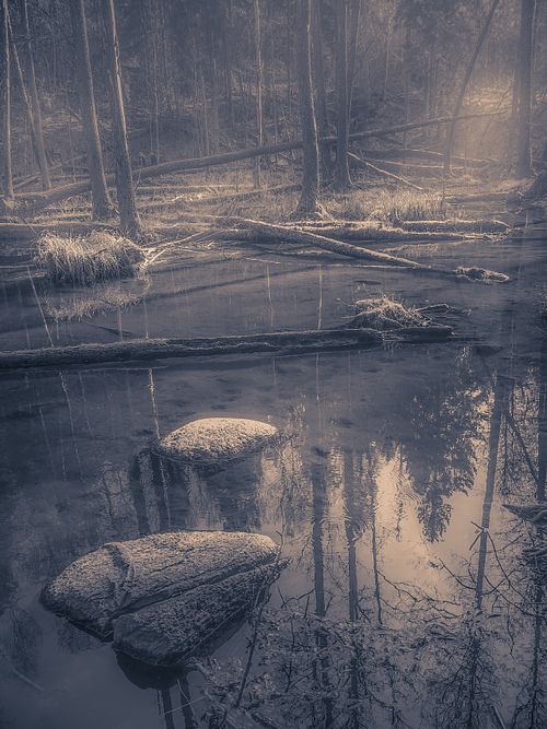 #forest #water #magic light #river