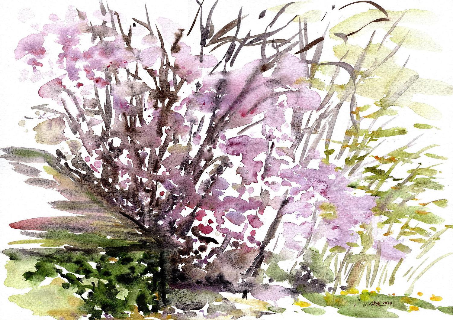 Magnolia en fleurs adoss&eacute; &agrave; la maison dans le parc de l'Ile-Verte &agrave; Chatenay-Malabry