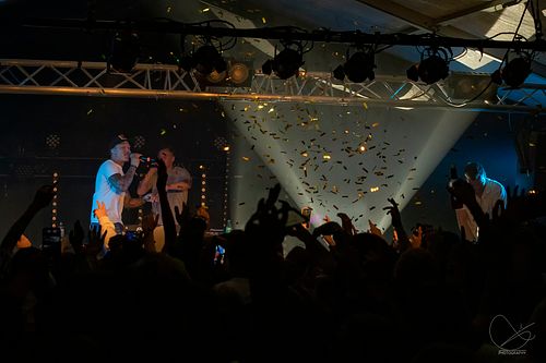 Palmekystfestivalen 2022