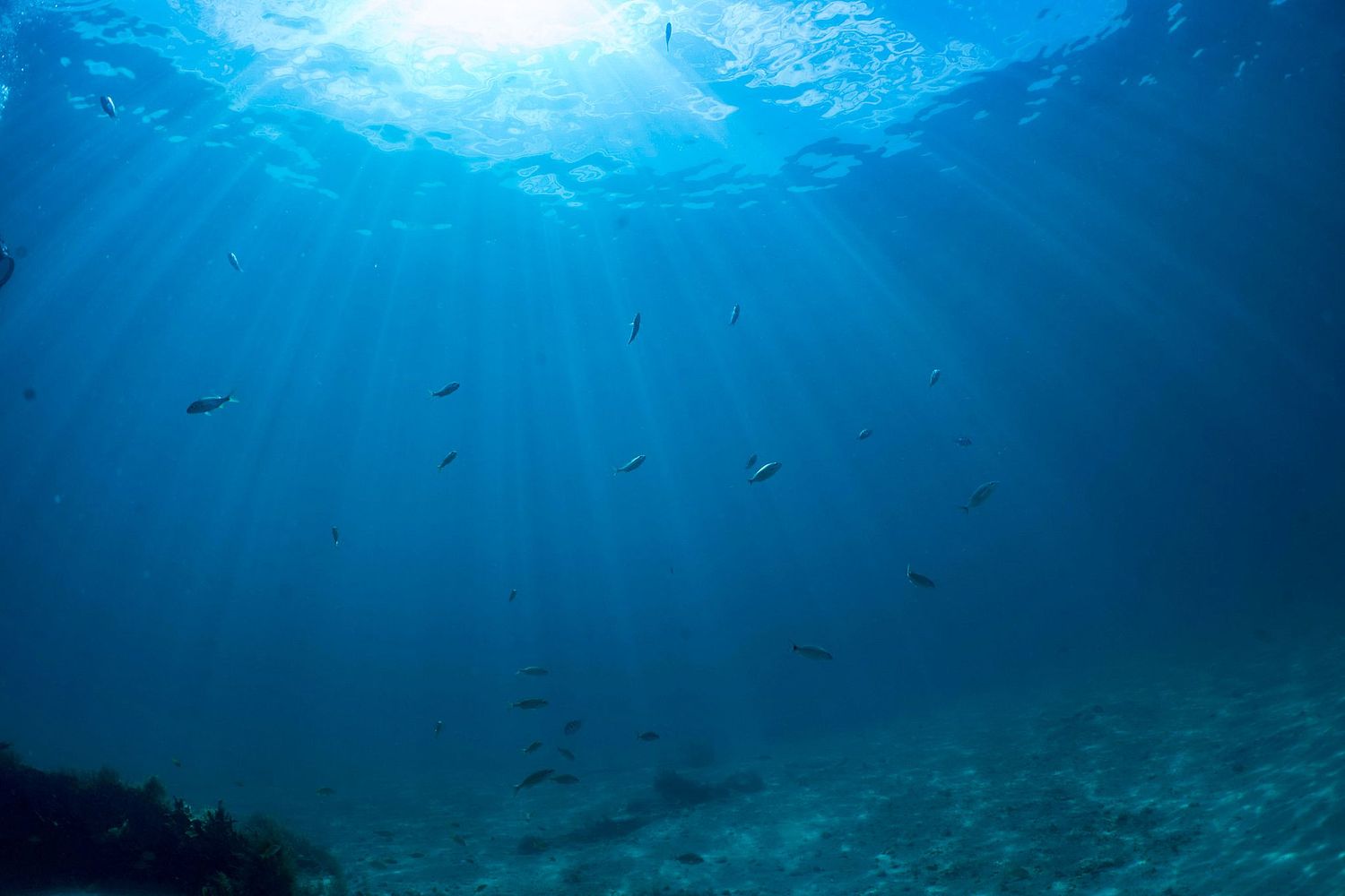 R. Pryke Photography