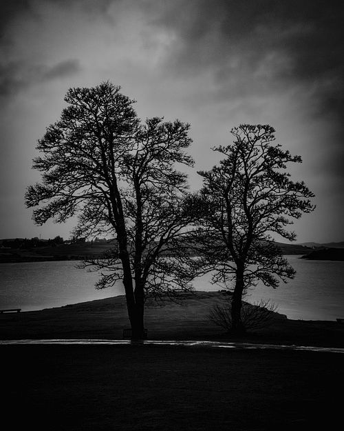 Black & White, monochromatic, tonal, texture, trees, minimalist, Highlands, Scotland, clouds, storm, rain, gloomy, moody, winter, spring, dark, sky, mor, Aonach Eagach, ridge, hike, adventure, nature, landscape, United Kingdom, UK, Isle of Skye, Skeabost,