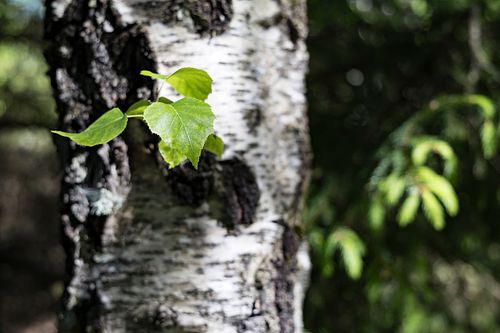 Im Nationalpark Jomfruland