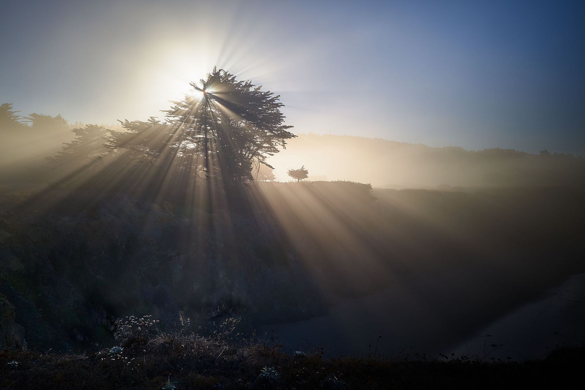 Sunrise at Sea Ranch - California