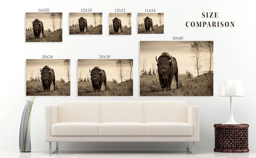 I WANT TO BUY A PRINT