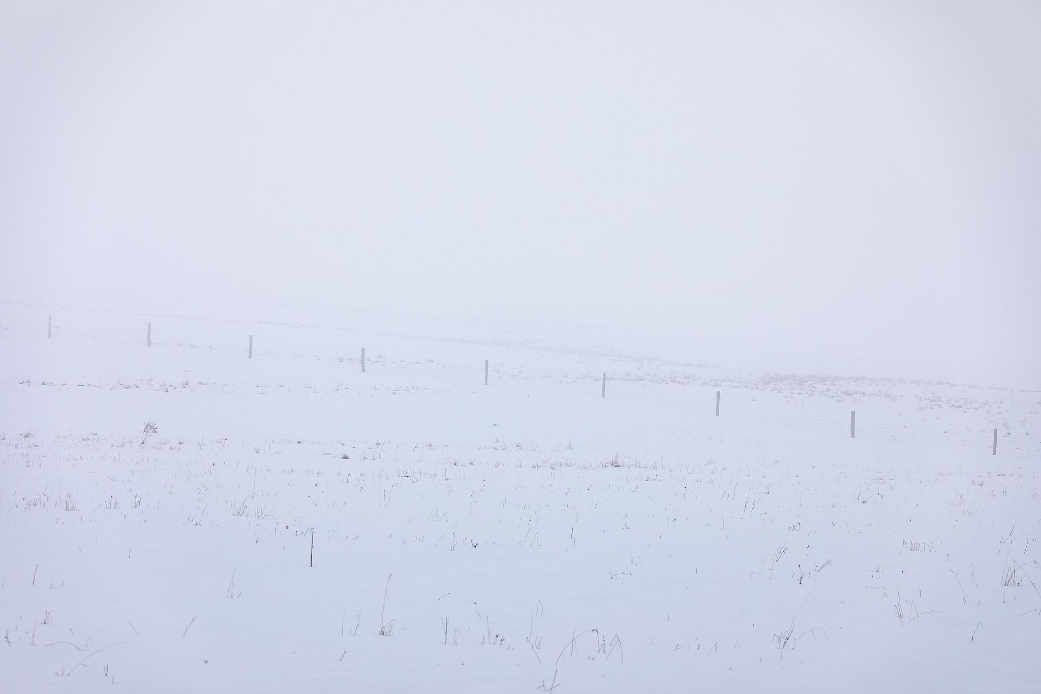 Clôture enneigée disparaissant dans le brouillard en Šumava