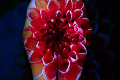 Light from the Underground