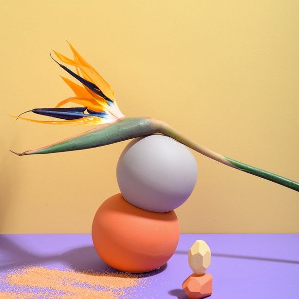 Trend Alert: Mood-Boosting Colour