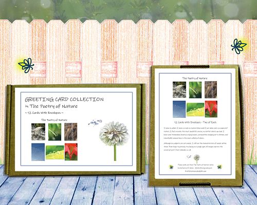 Poetry of Nature Greeting Cards