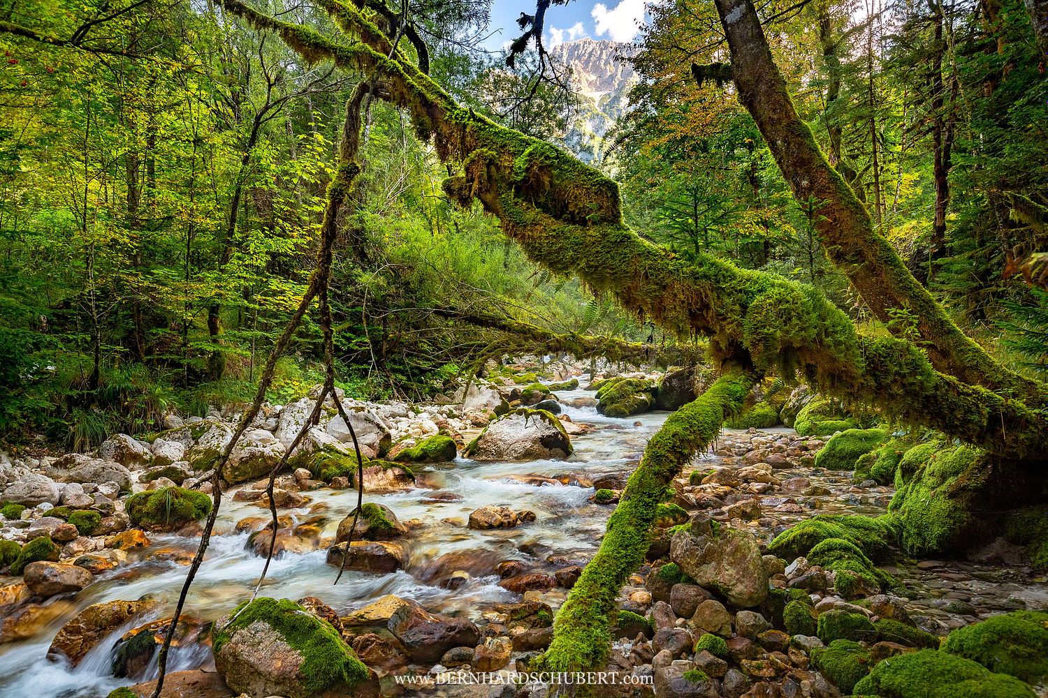 Pristine river