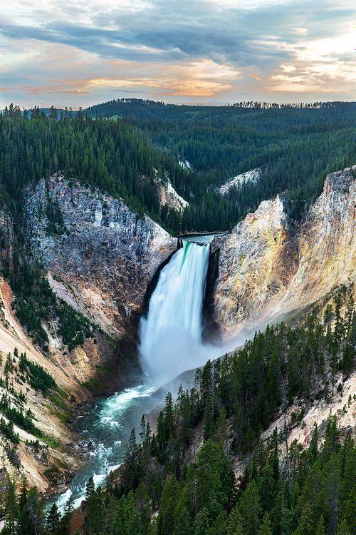 A vertical landscape view showing the Lower Falls plunging into the depths of the Grand Canyon of the Yellowstone, with the Yellowstone River winding through the forest-lined canyon floor.