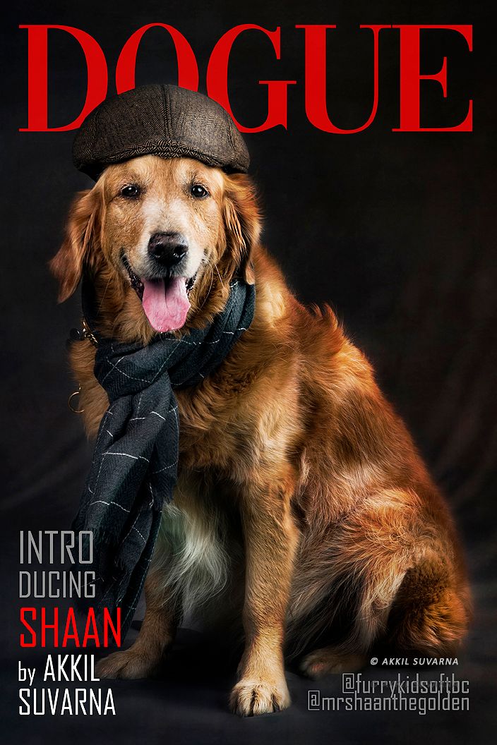 Pet photography - Portrait of Shaan