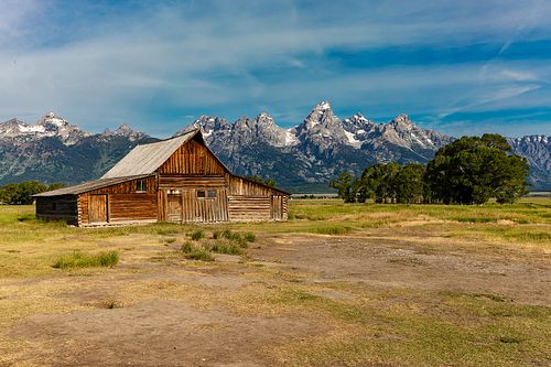 The historic wooden T.A. Moulton Barn on Mormon Row in Grand Teton National Park, perfectly backdropped by the jagged, snow-dusted peaks of the Teton Range under a bright blue sky.
