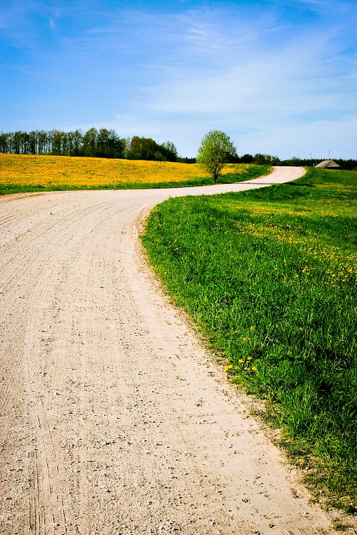 #road #rural #grass #lanscape #Lithuania