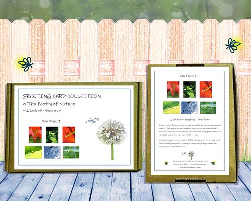 Stationery Sets